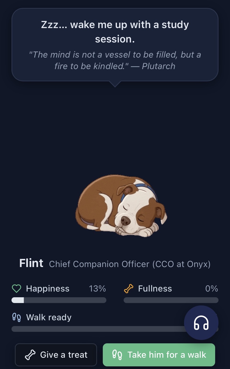 Flint keeps you company while you study.