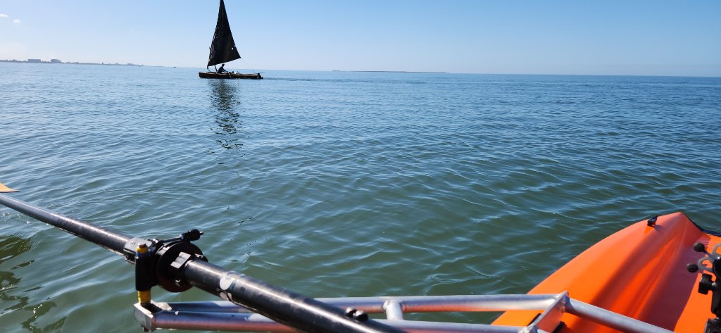 My coastal rower among the dhows, Maputo Bay