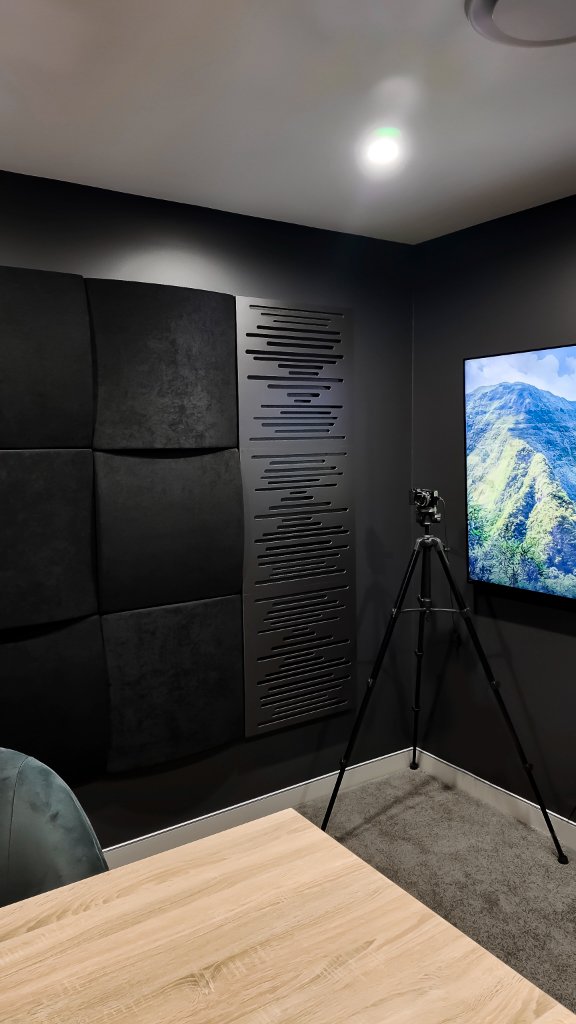 Vicoustic Panels