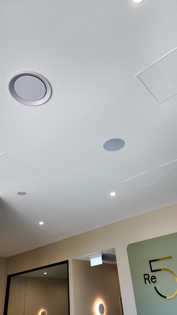 Triad Speaker Install