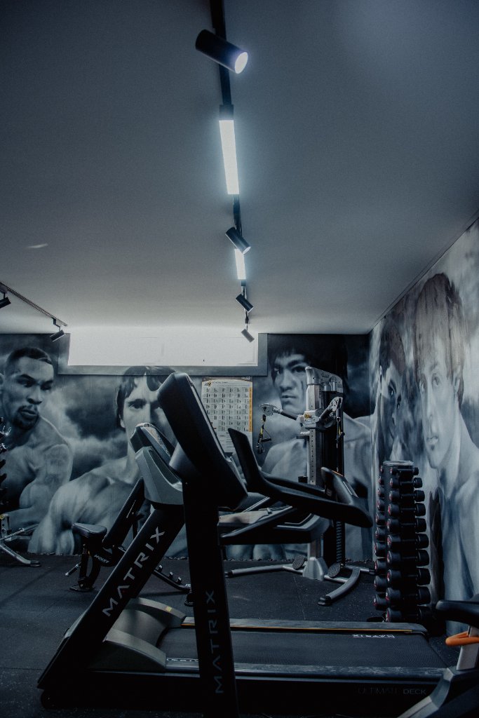 Gym — Track Lighting