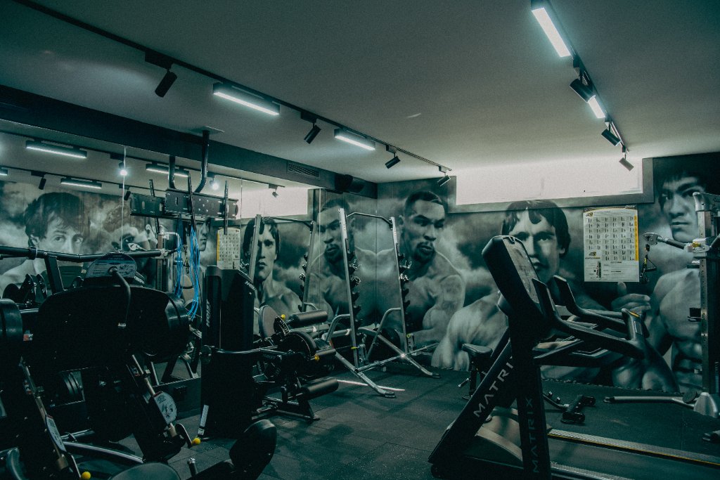 Gym — Full Equipment View