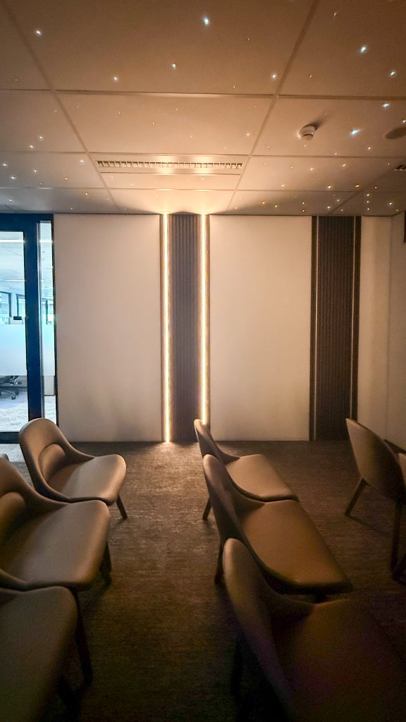 Auditorium — Starlight Ceiling & Acoustic Wall