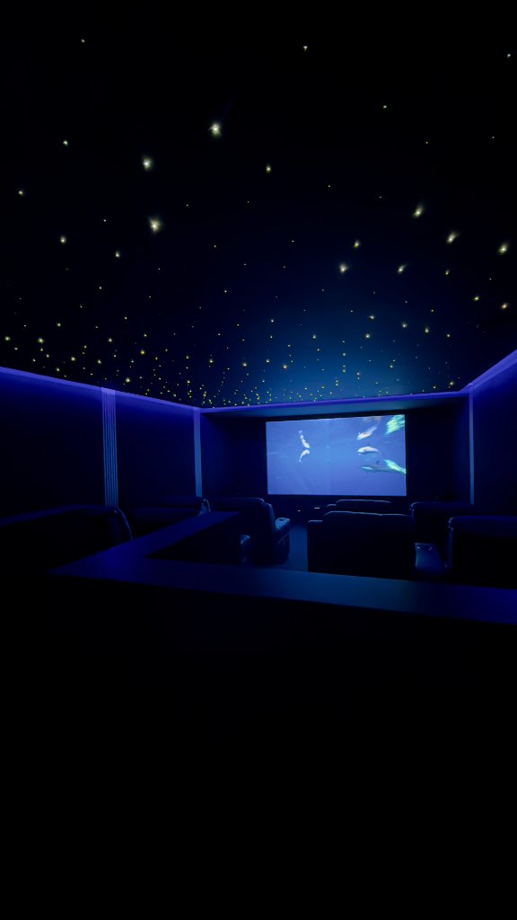 Theatre Room — Architectural Detail