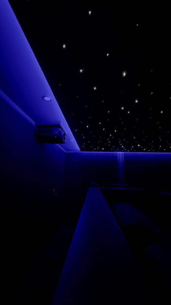 Theatre Room — Ceiling Feature