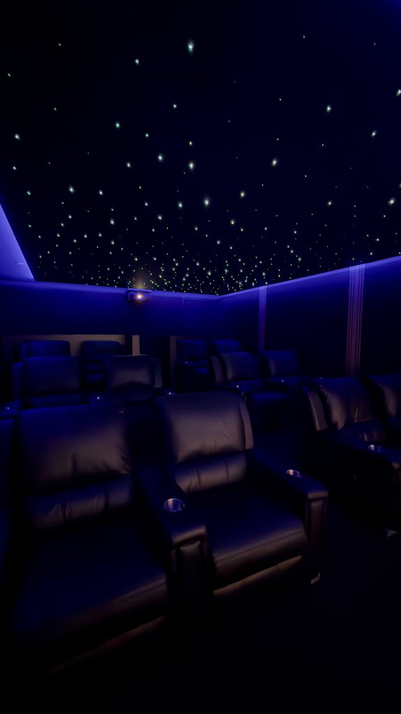 Theatre Room — Premium Seating