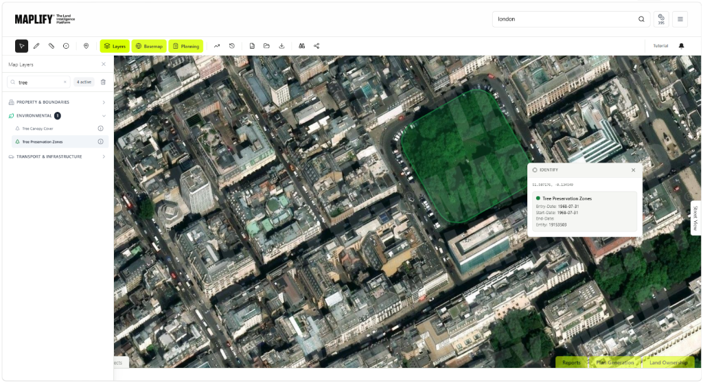 Tree Preservation Orders layer shown on the Maplify map with the layers panel and identify popup Maplify map screenshot showing the Tree Preservation Zones layer over a London site, alongside the Map Layers panel and site identify popup