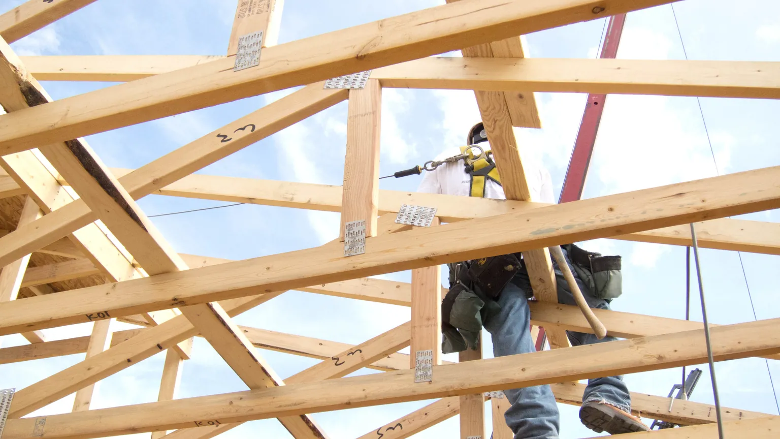 A framer wearing a fall protection harness works among new roof trusses on a residential job site
