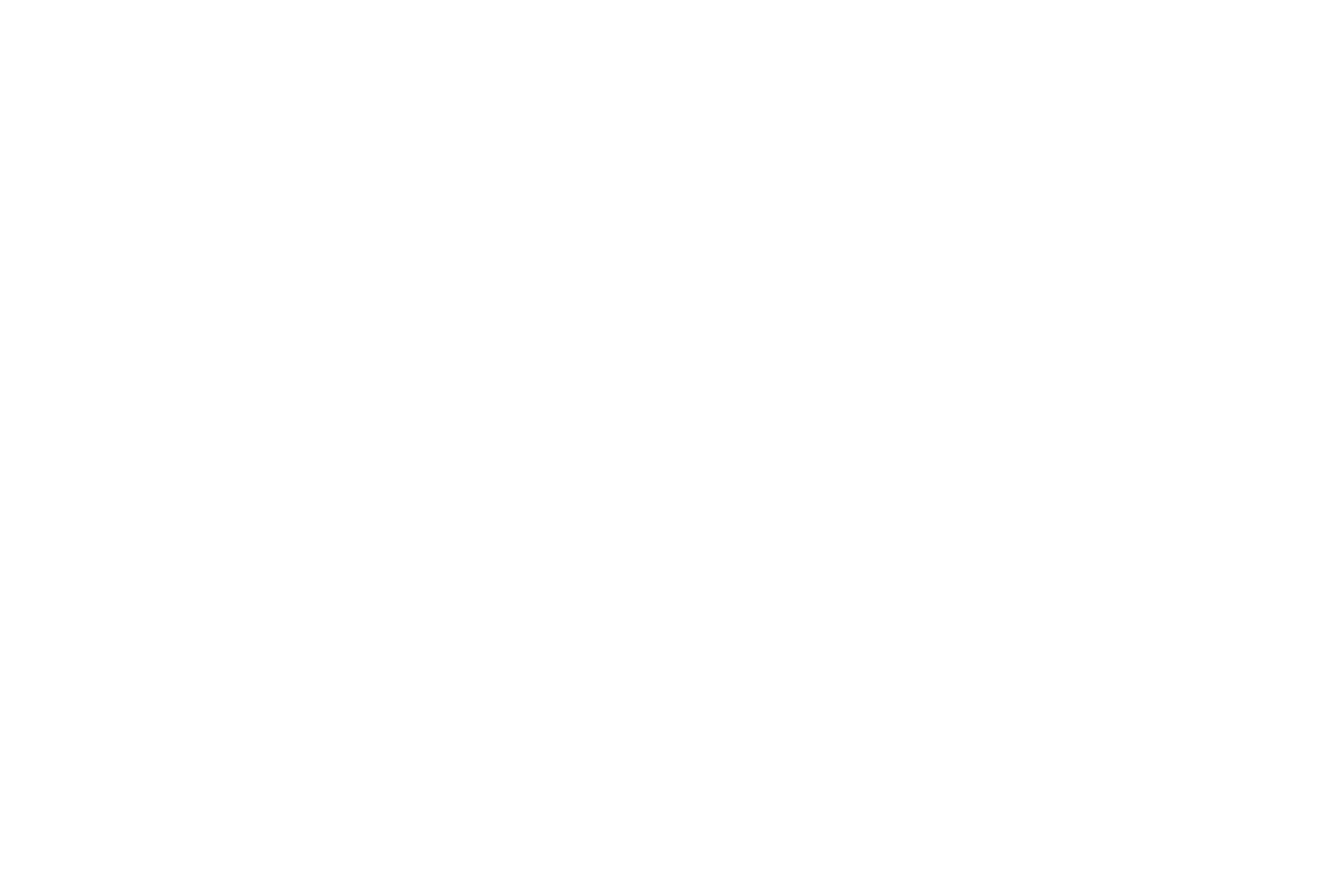 The Licensing Company