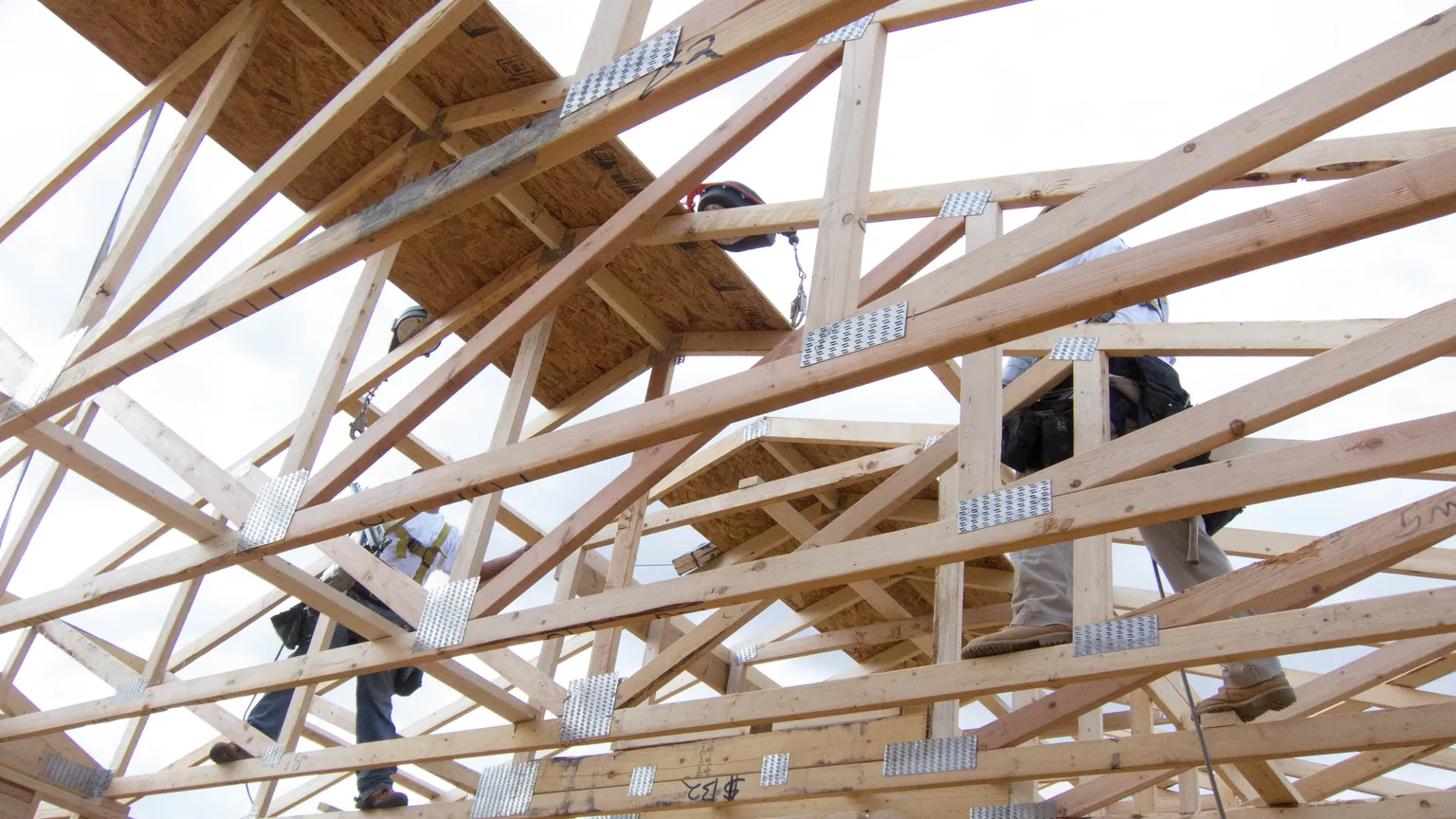 Workers wearing fall protection move among wooden roof trusses at a residential construction site.