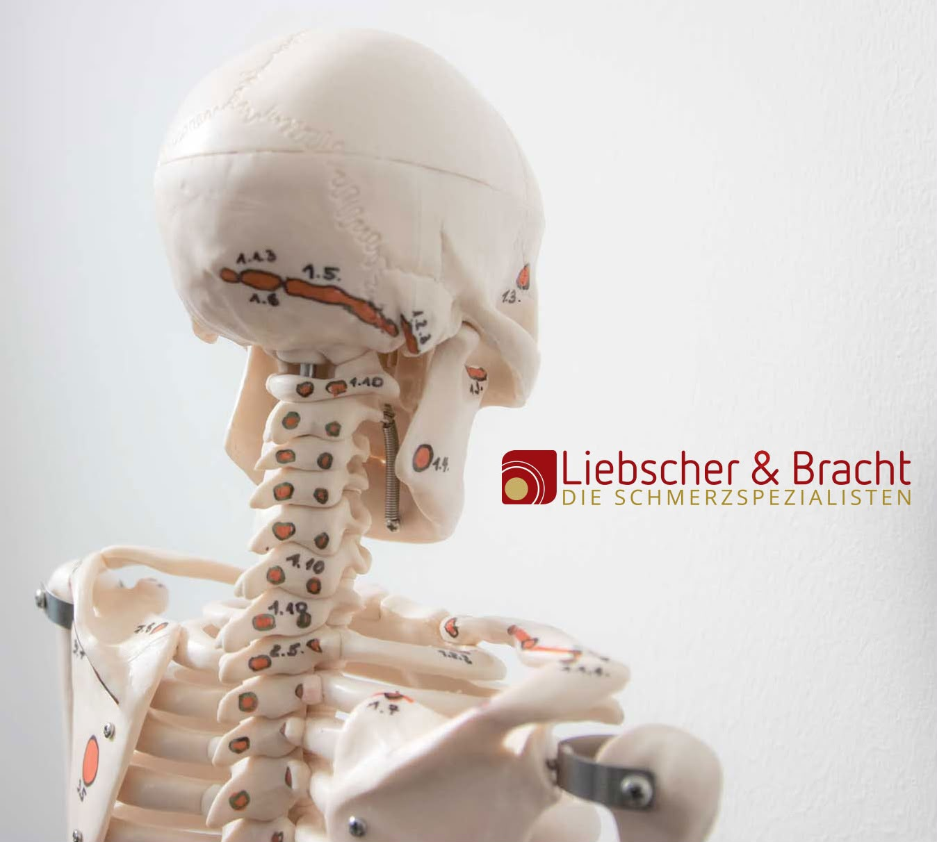 Liebscher & Bracht Methode