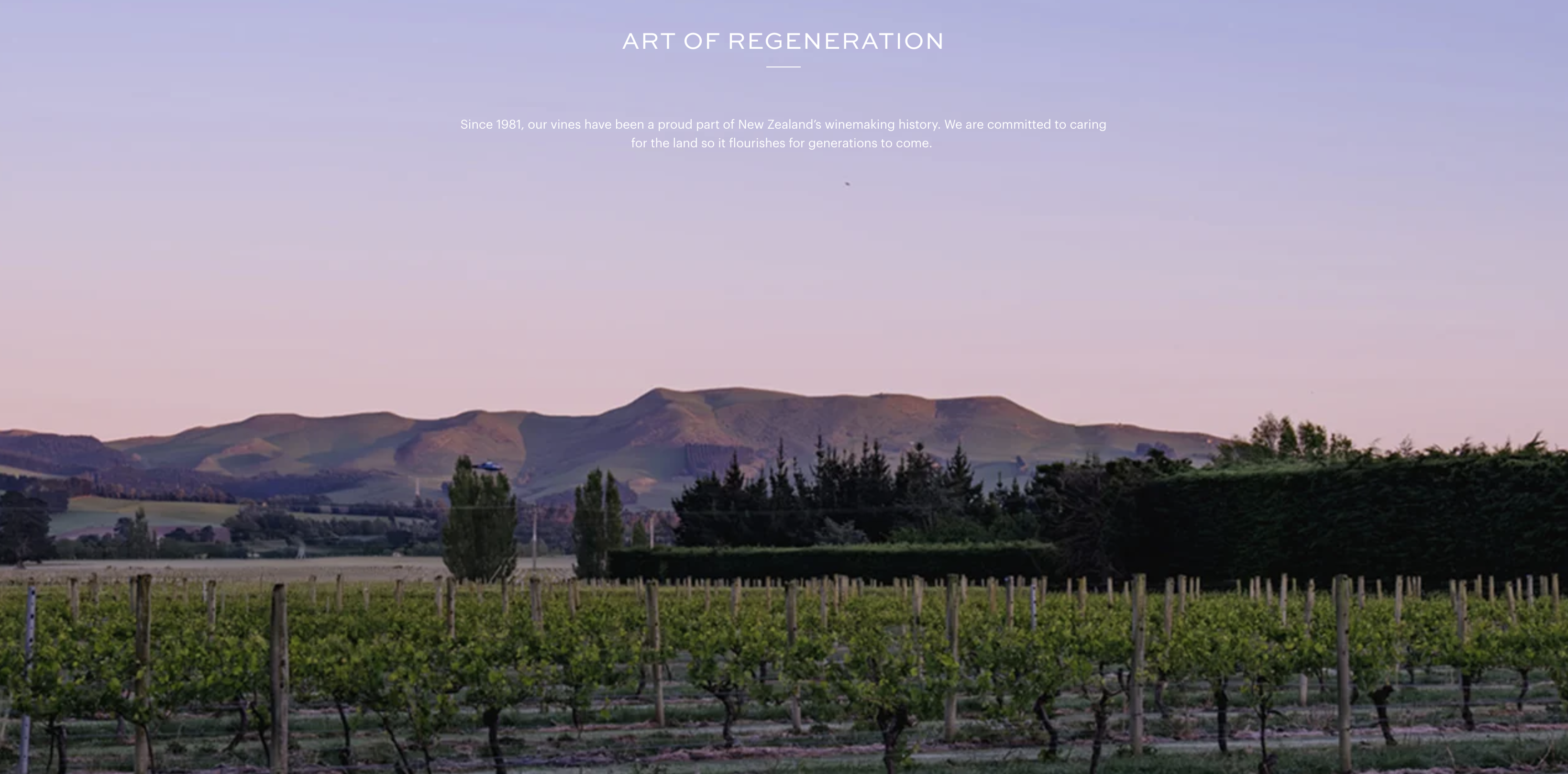 Dancing Water Winery — image 2