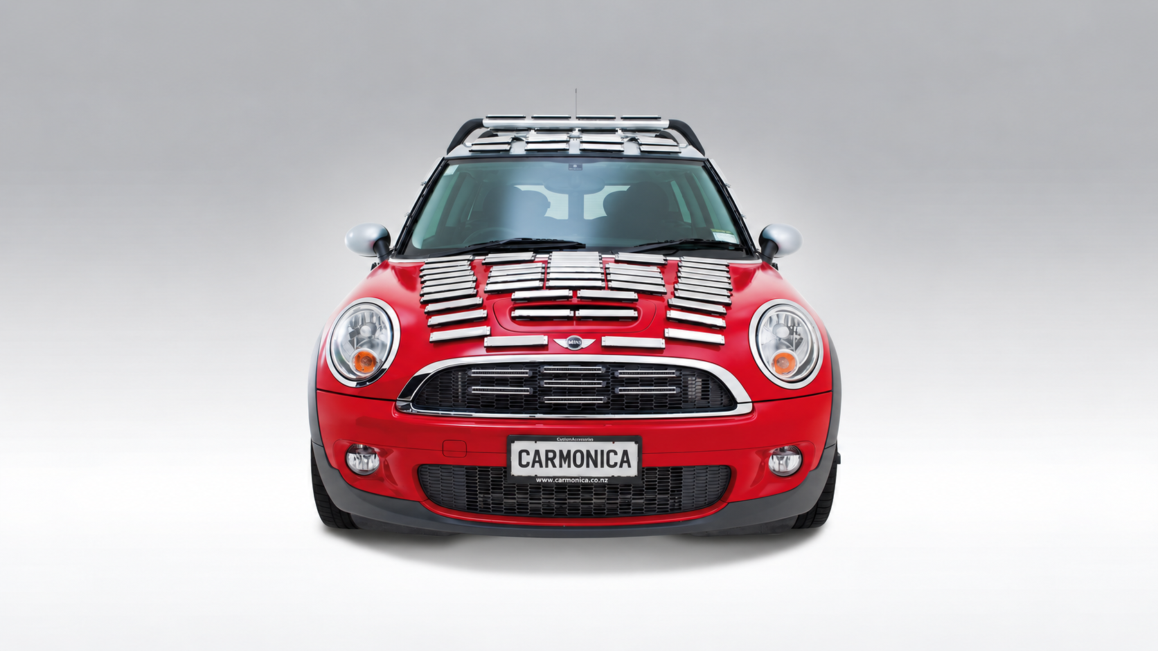 Mini Carmonica (2012)