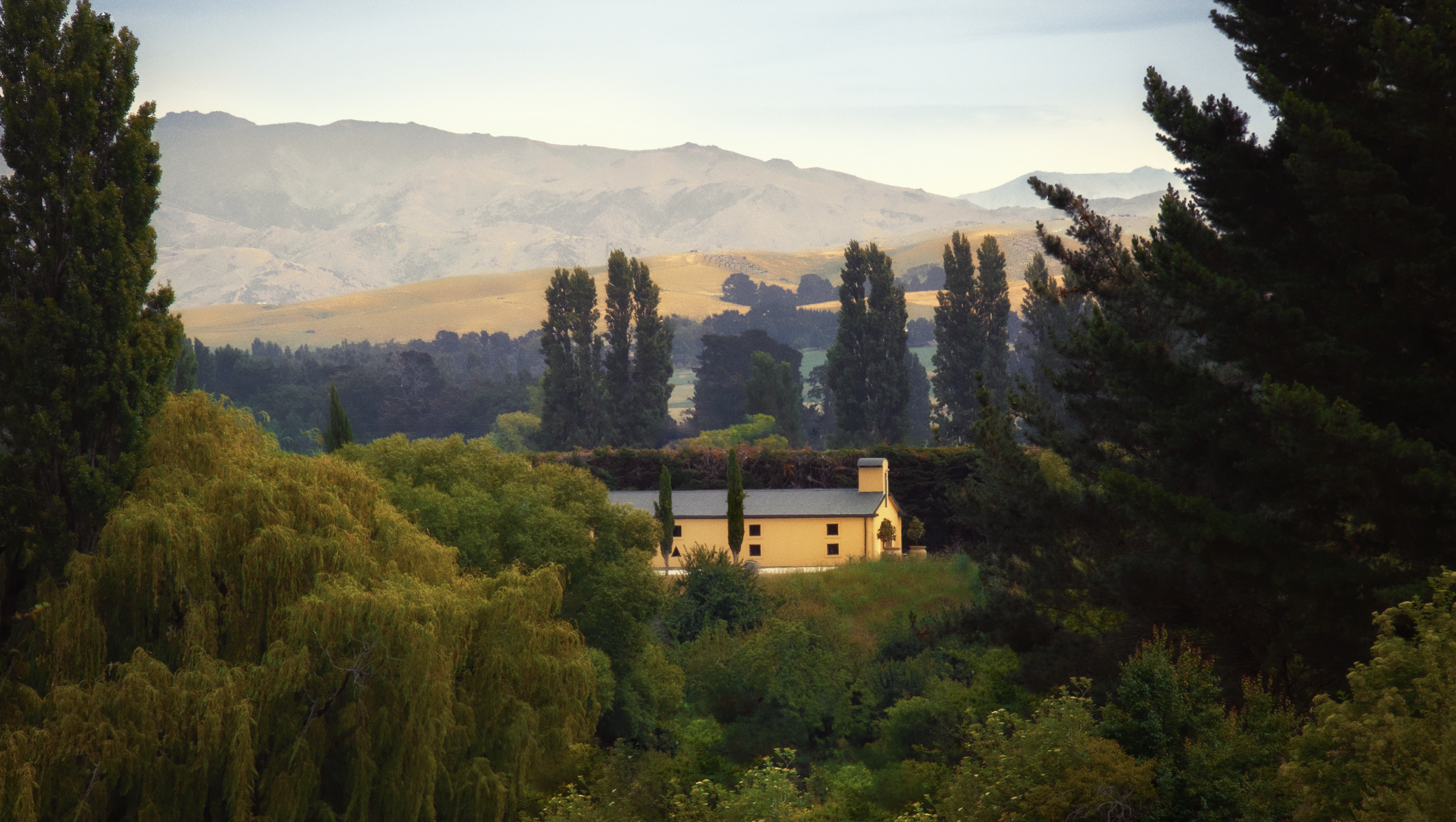 Dancing Water Winery