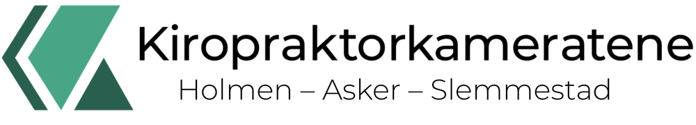 Kiropraktorkameratene logo - Kiropraktor og Naprapat i Asker og Slemmestad - Profesjonell behandling av rygg, nakke og muskelplager