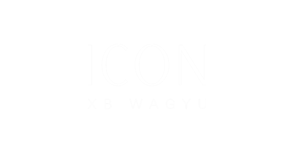 Logo 13