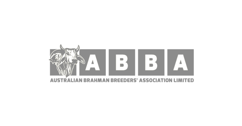 ABBA