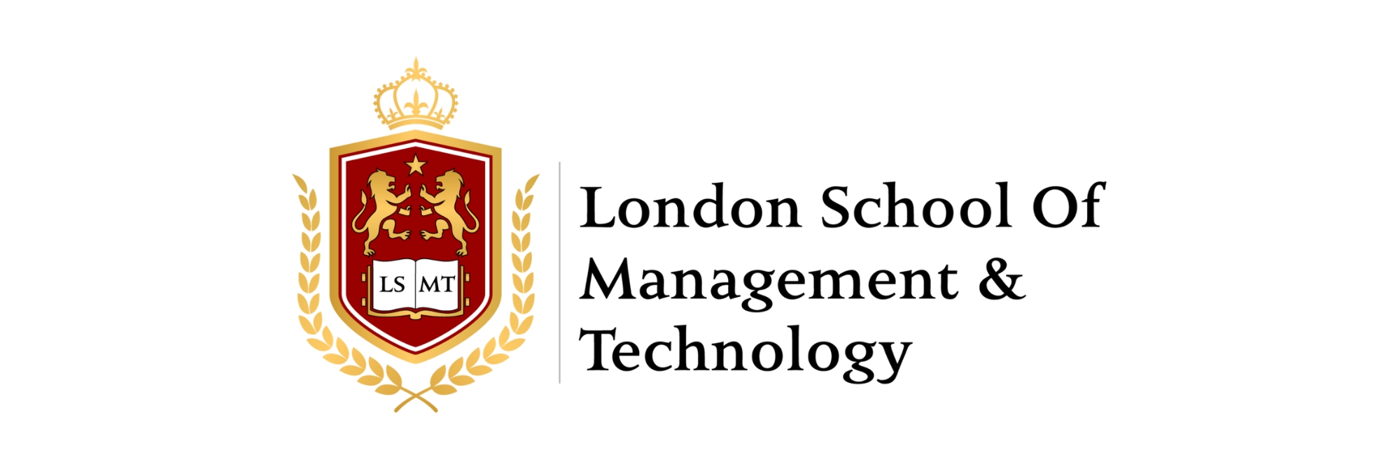 London School of Management and Technology mark