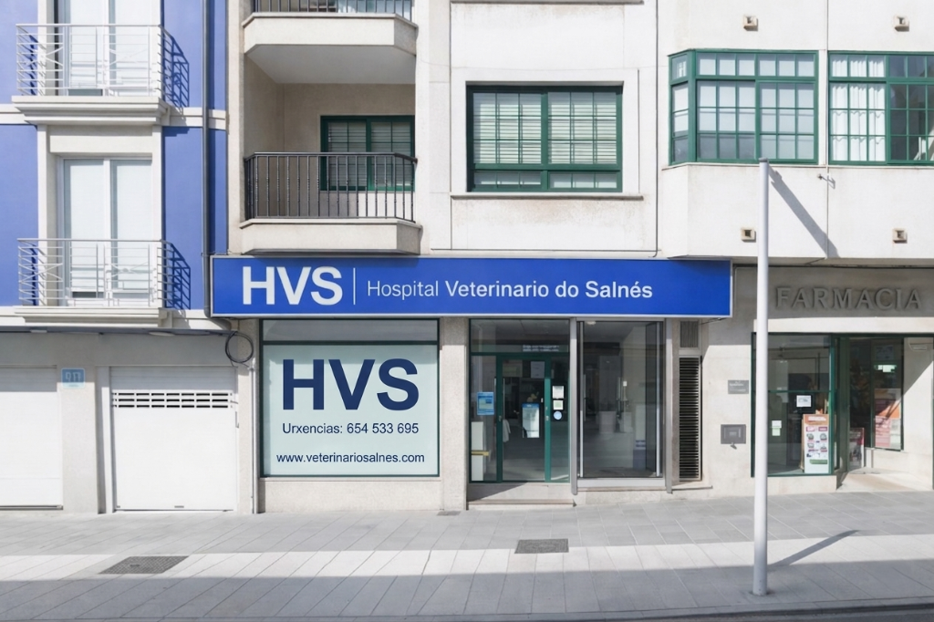 Nova imaxe: {clinic}
