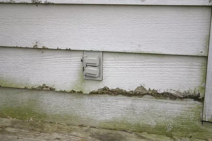 Rotted and deteriorating wood siding on older home