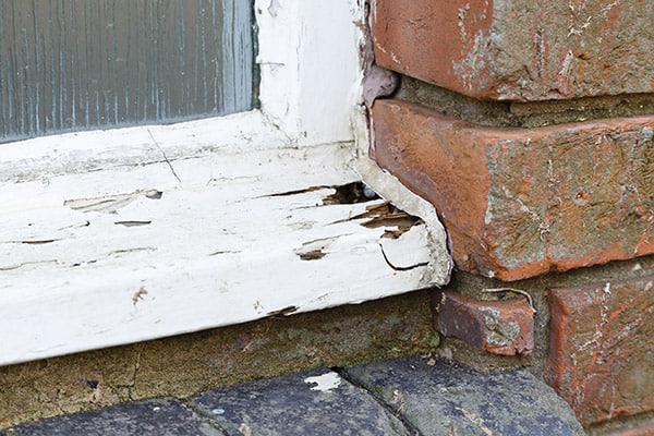 Window frame with rot damage and deteriorating wood