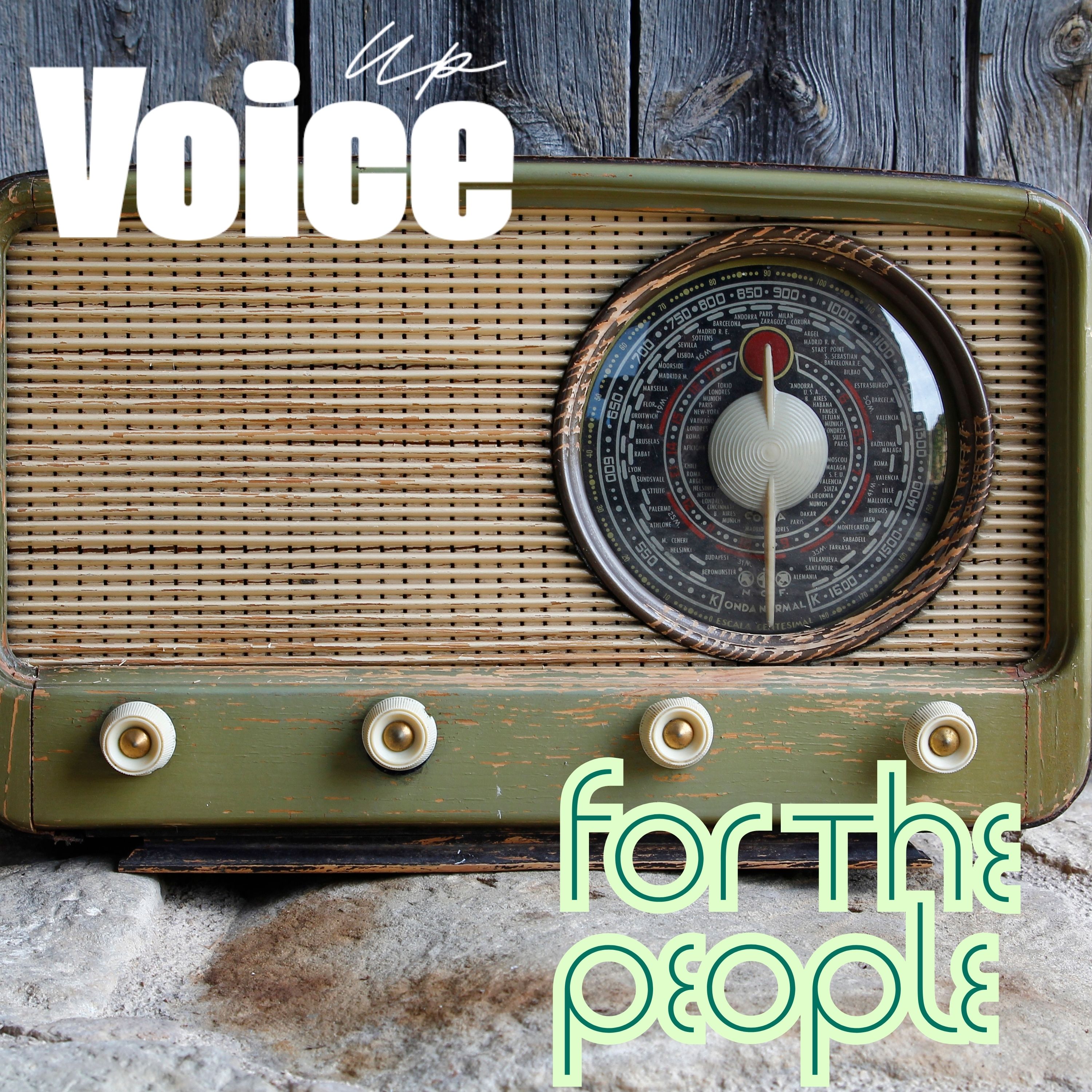 Up Voice for the people — vintage radio anchor image for the OpenAI Navier-Stokes story