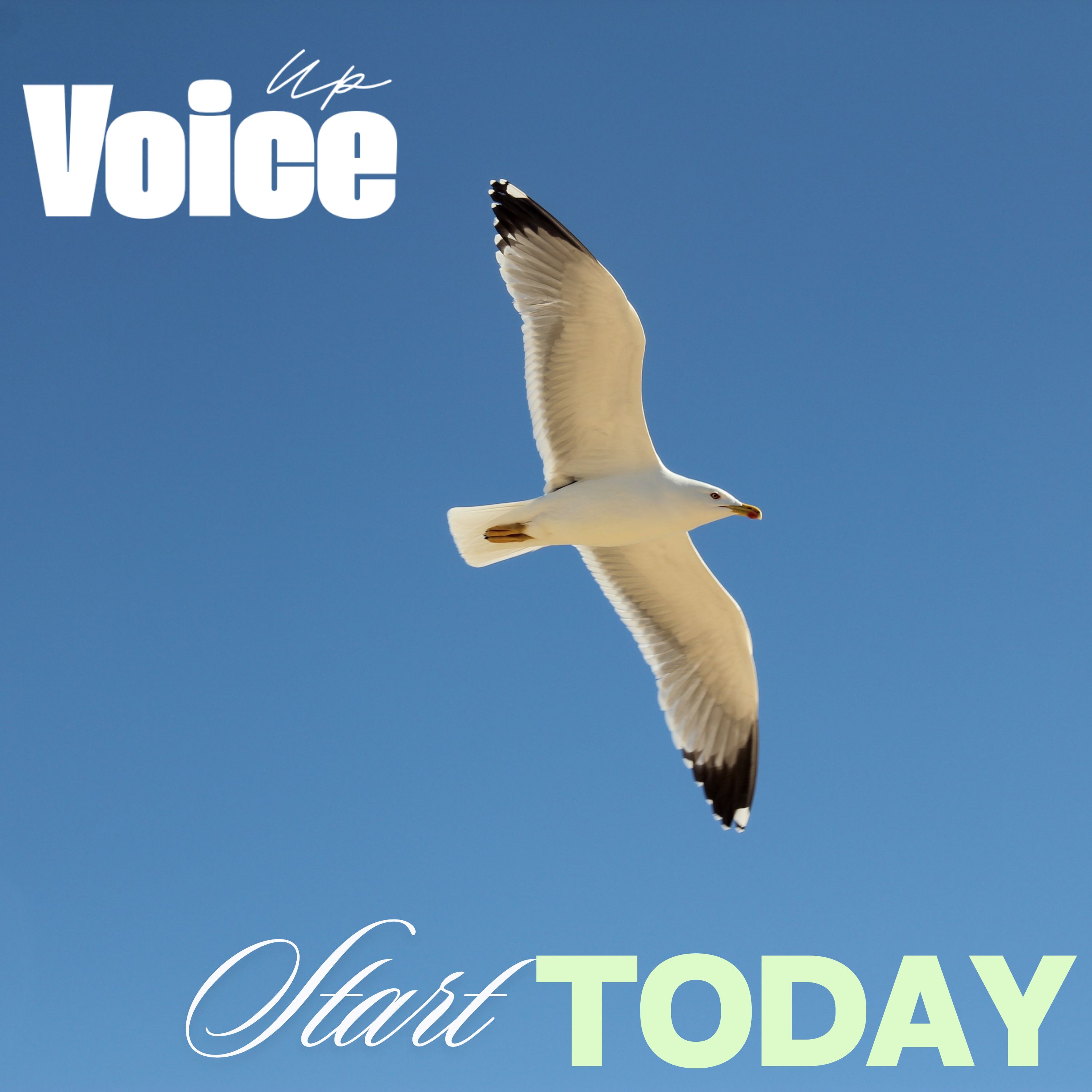 Voice Up — Start Today