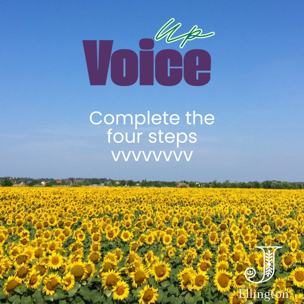 Voice Up - Complete the Four Steps