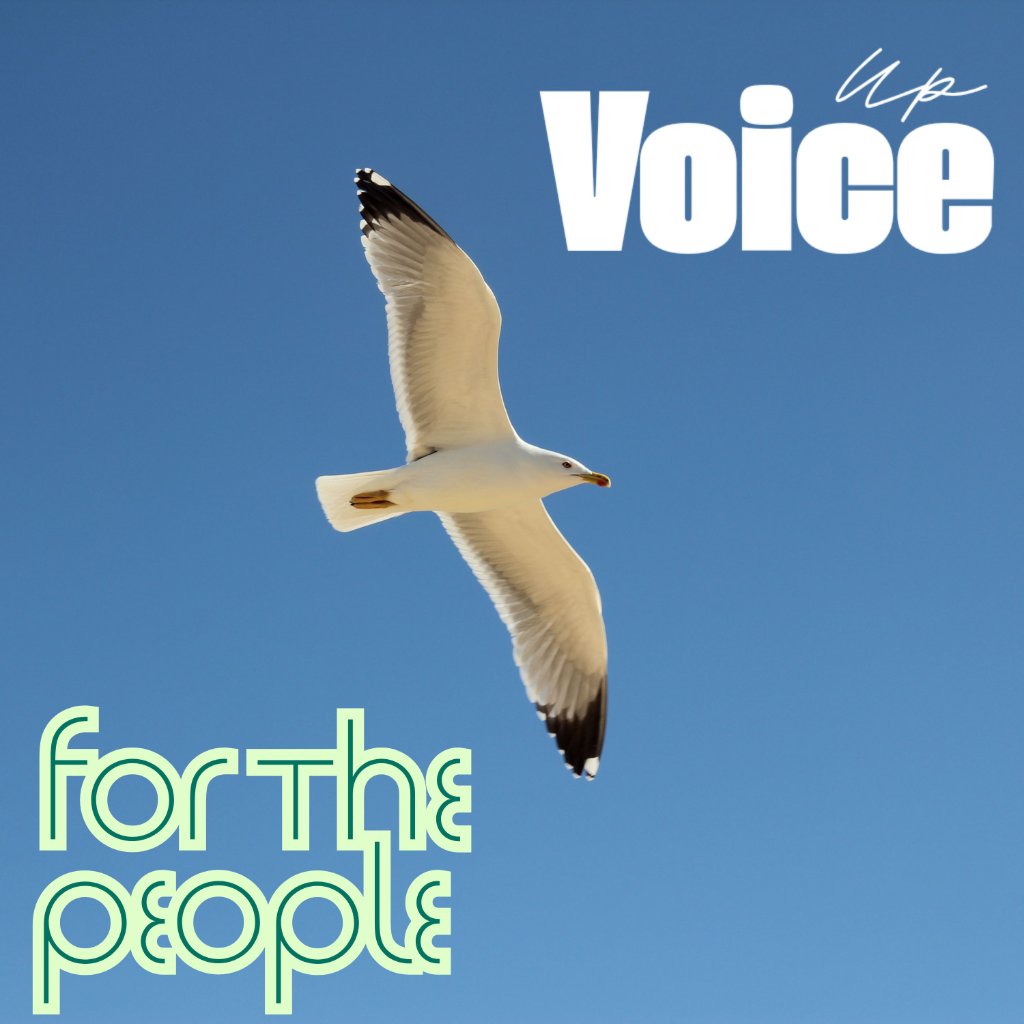Voice Up — For the People