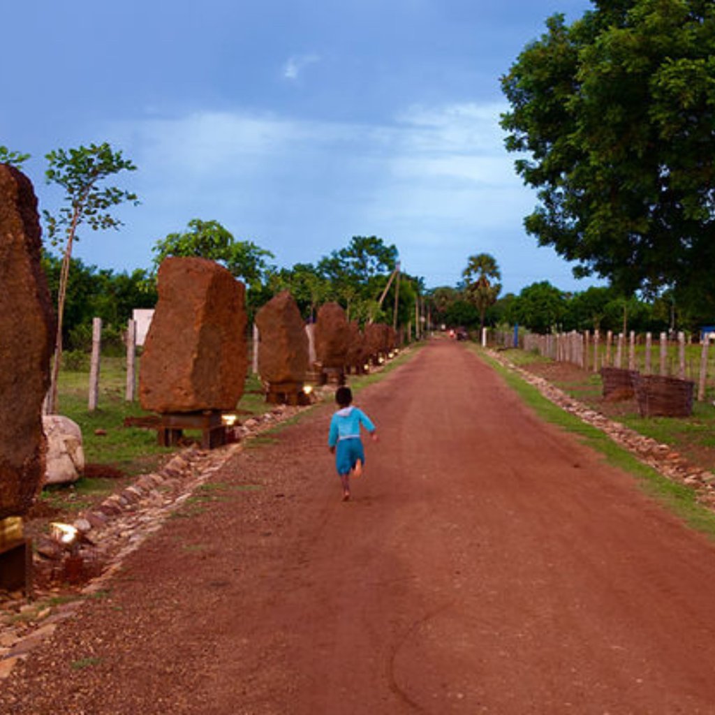 The Path Forward