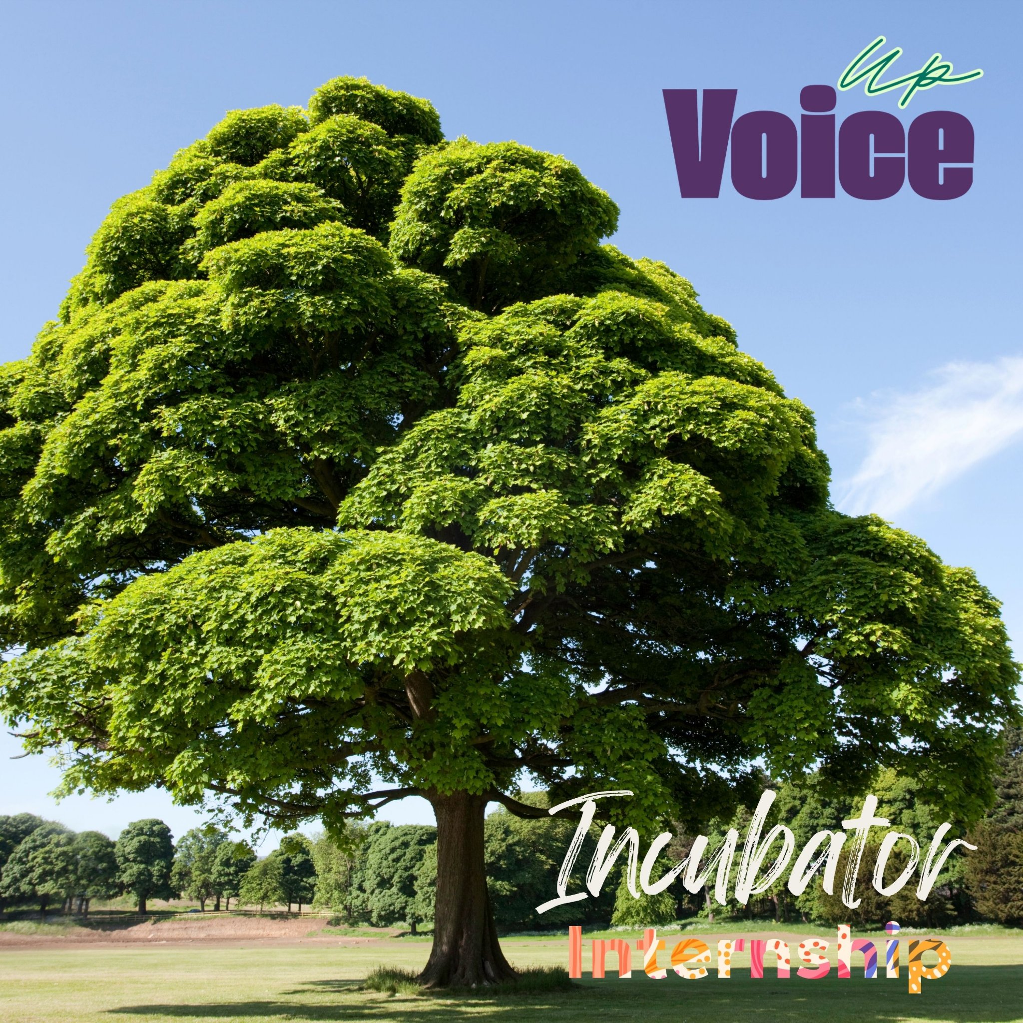 Voice Up Incubator Internship — Explore Video Modules
