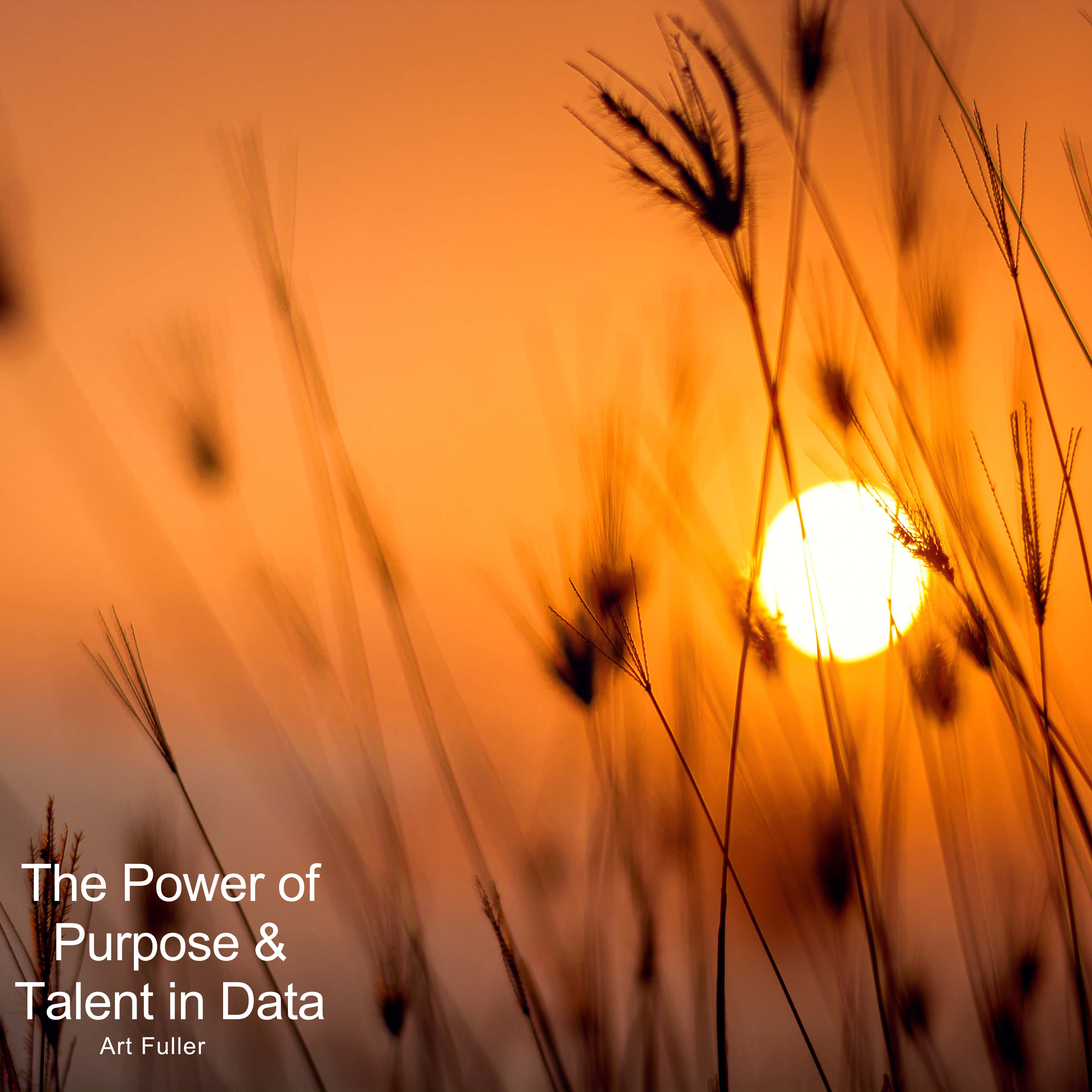 The Power of Purpose & Talent in Data book cover