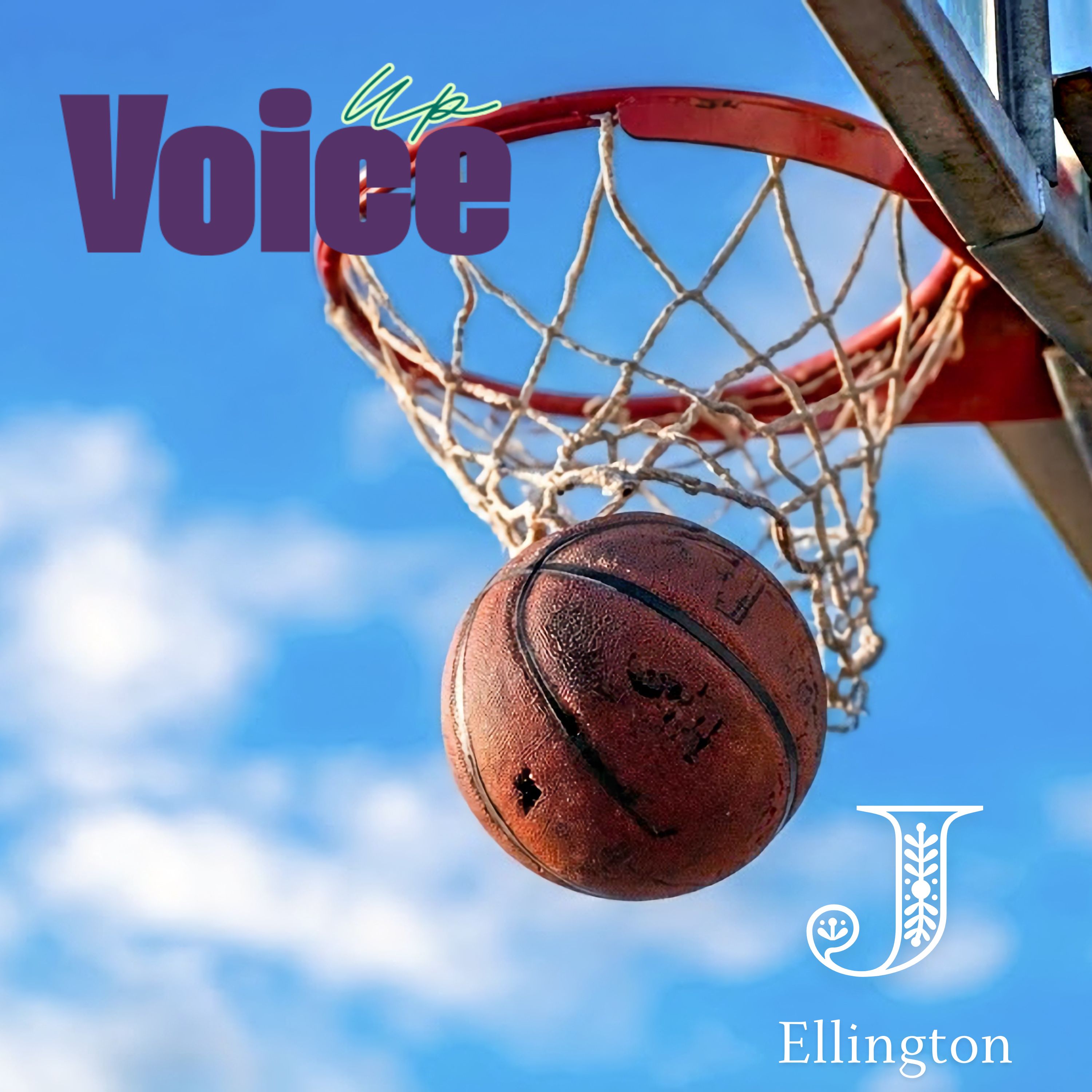 Sports & Mental Health Fellow — a basketball dropping through a net against a bright sky