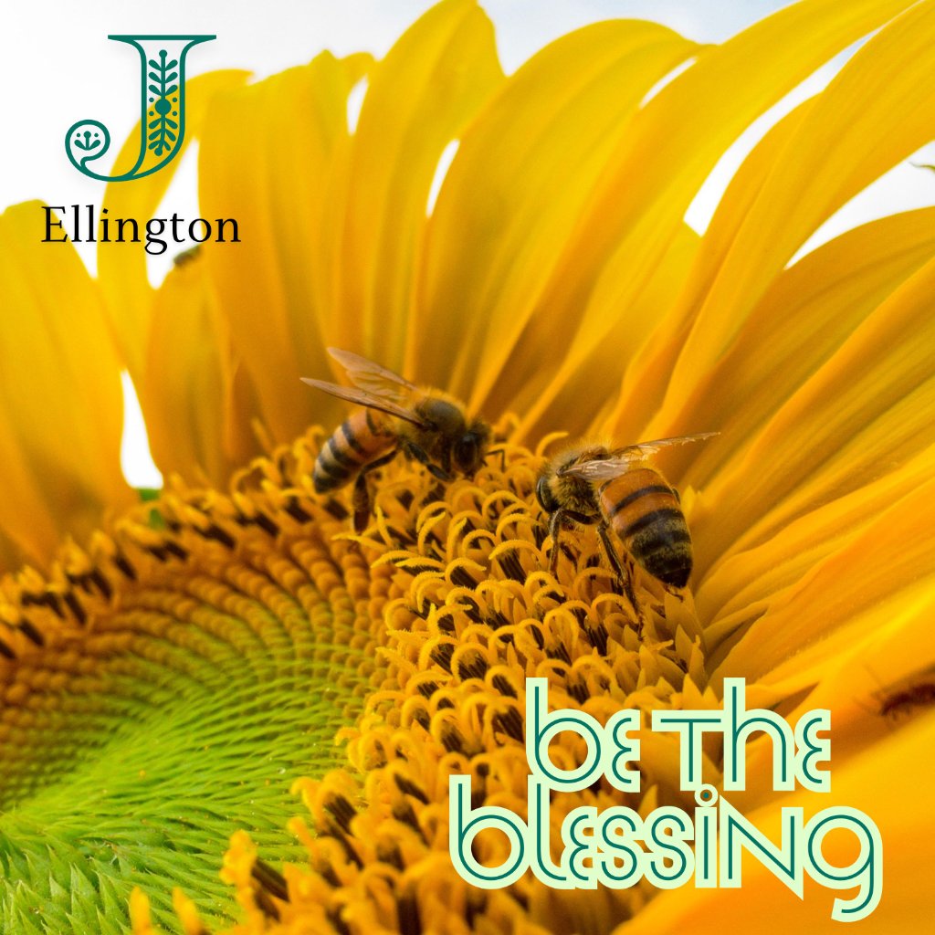 The J Ellington Catalogue of Music