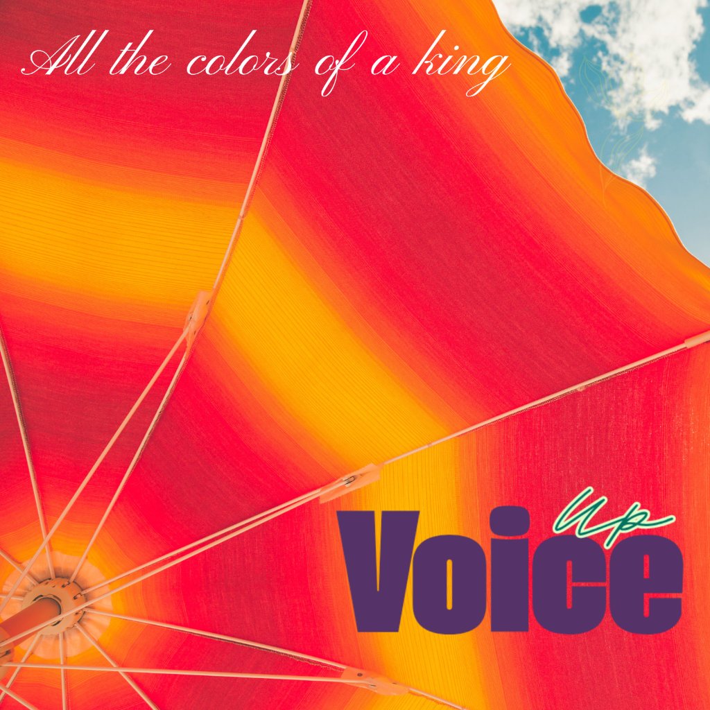 All the Colors - Voice Up