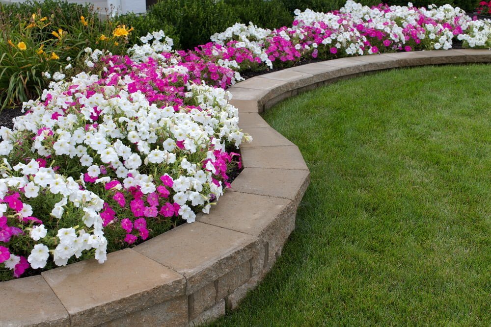 Hardscaping & Borders
