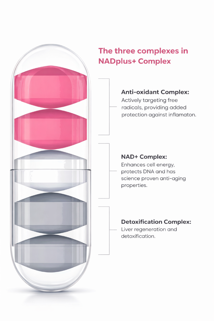 NADplus+ Complex Three Complexes