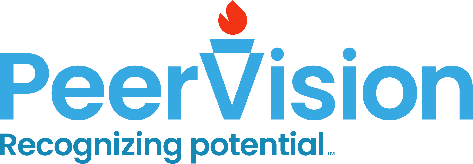 PeerVision