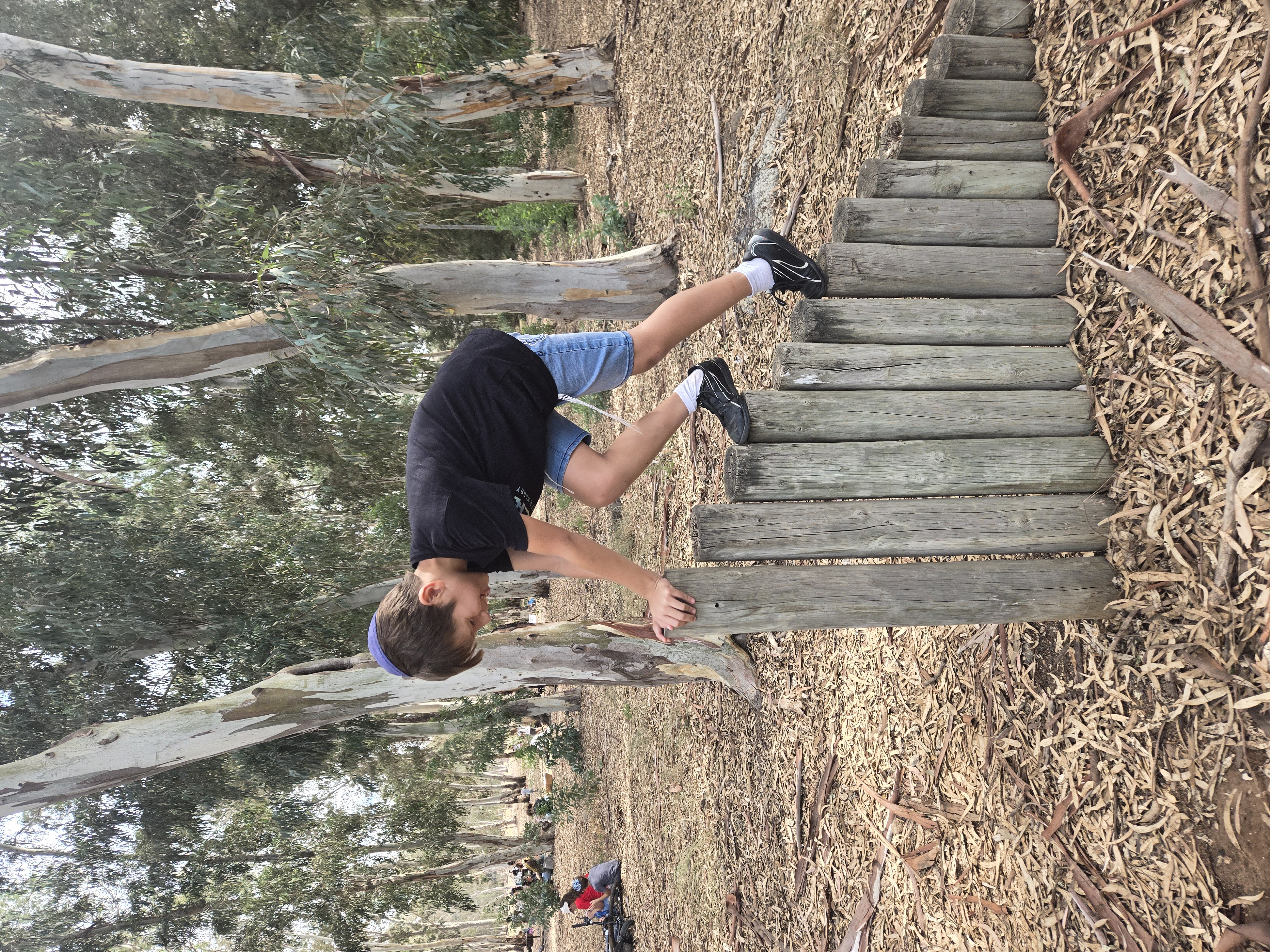 He climbs because it's there — kippah slipping, tzitzit flying, running on eucalyptus air. A childhood spent in groves his great-grandparents only prayed toward.
