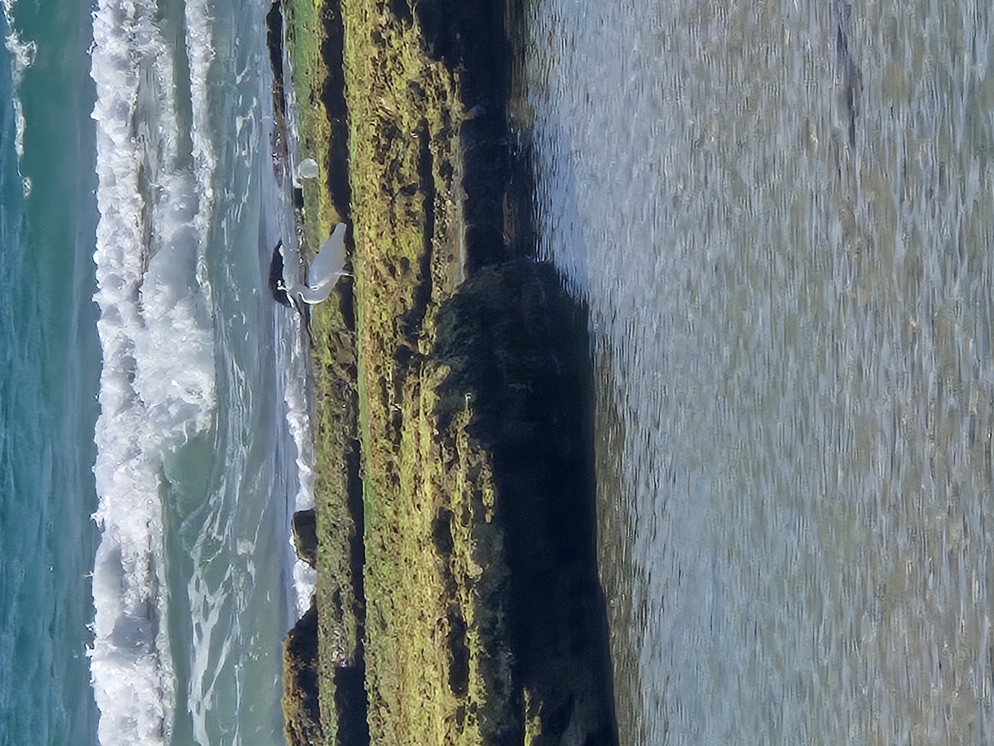 The Mediterranean hits the rocks with its whole weight and the moss just holds on — greener for it. Even the shoreline here is alive.