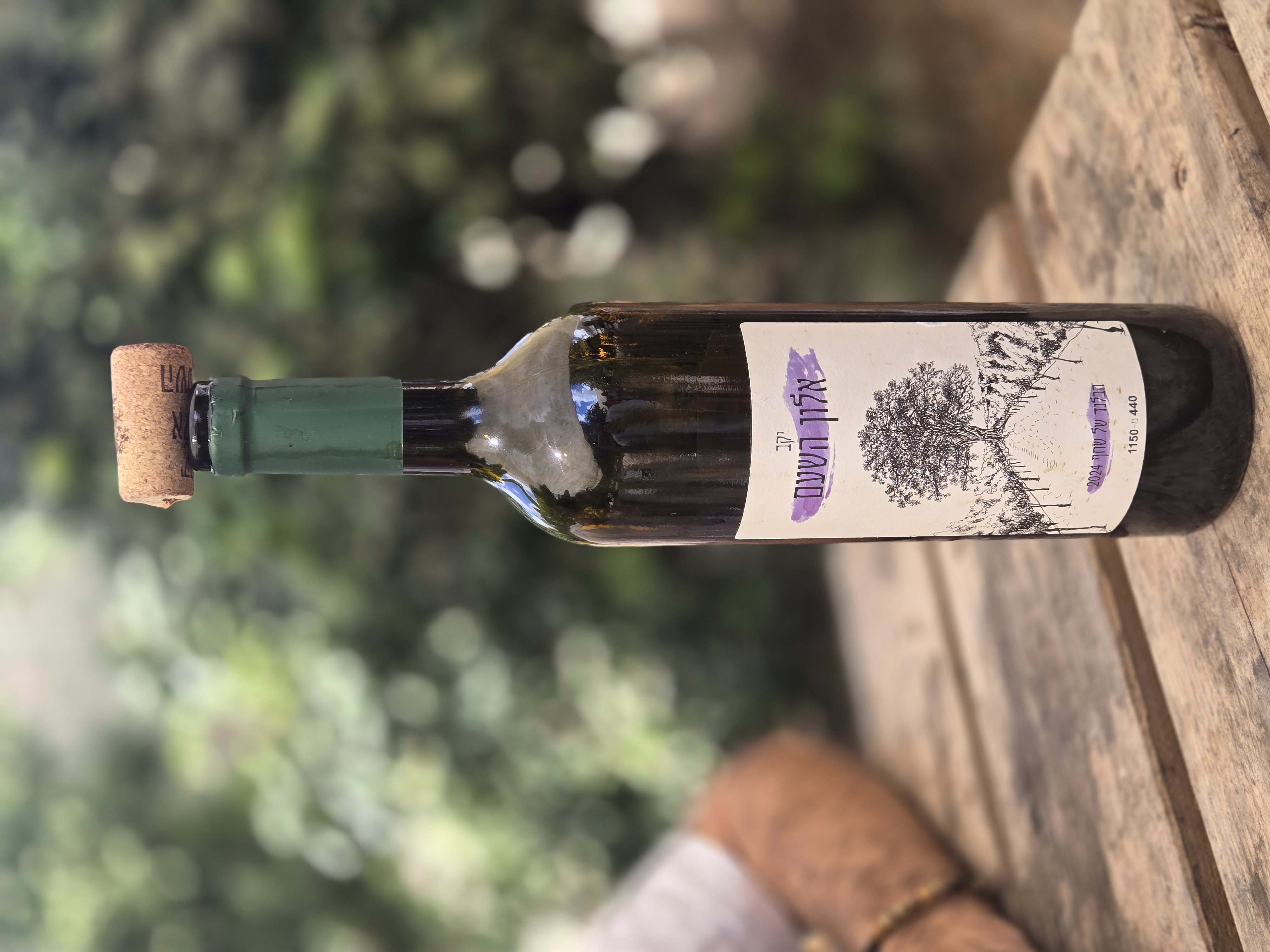 A young vineyard in the Sharon presses its first bottles and puts a tree right on the label — the Land's fruit, corked and keeping.