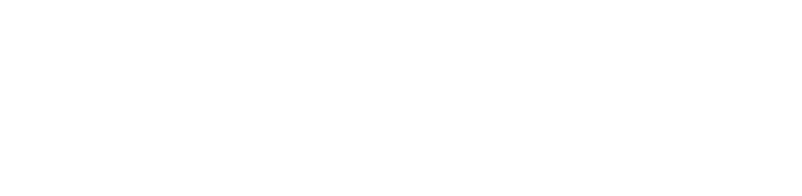 RallyDish