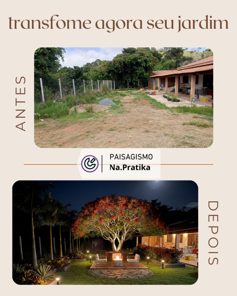 Transformação real de jardim 2