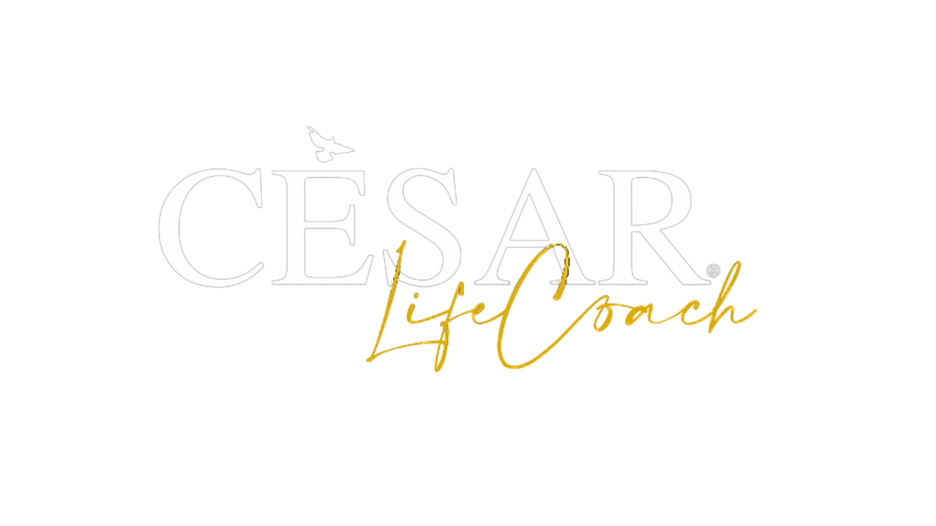 César Life Coach