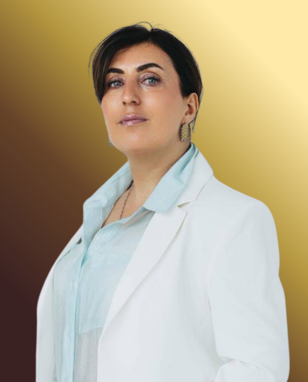 Ani Nikohosyan