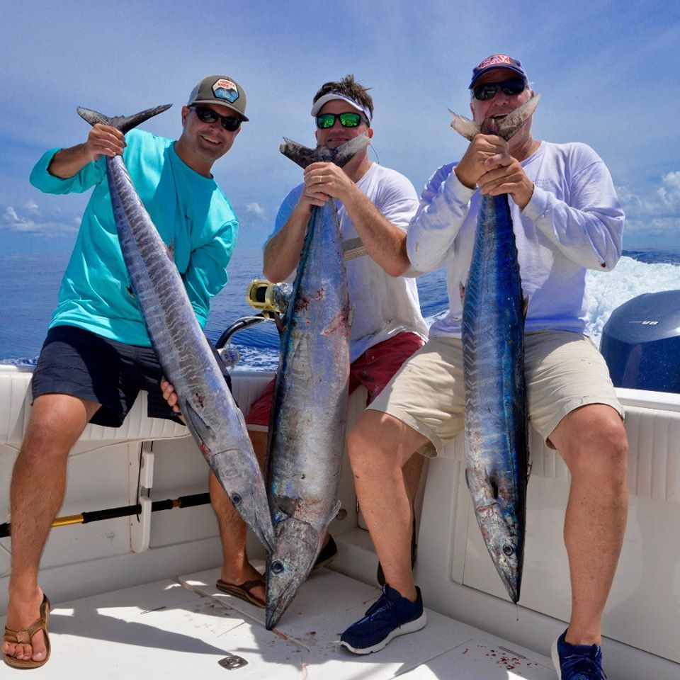 The Fall Bite is Coming: How Gulf Fishing Shifts After August