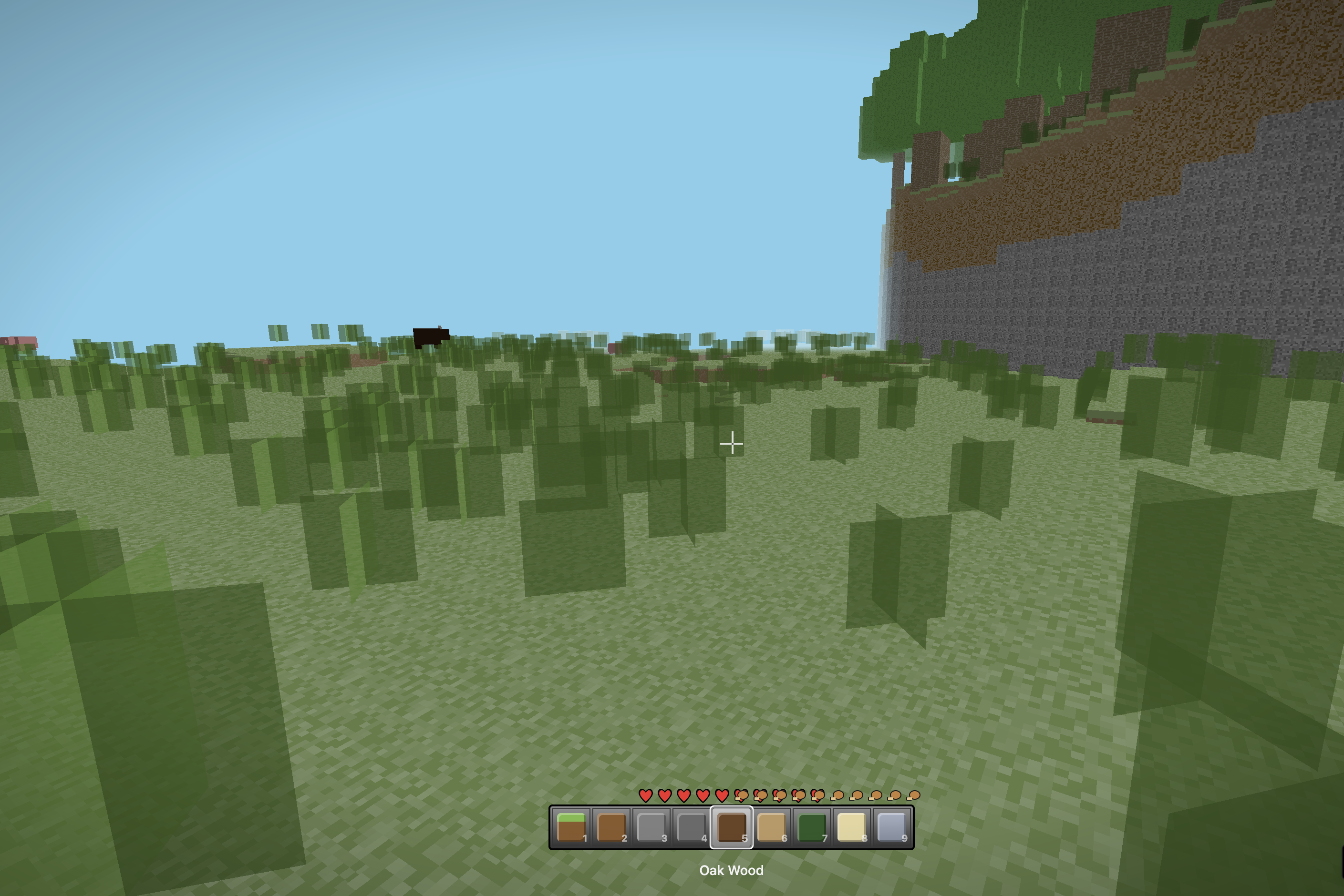 BloXCraft app template.