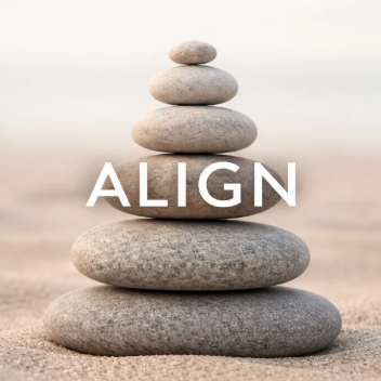 ALIGN eBook