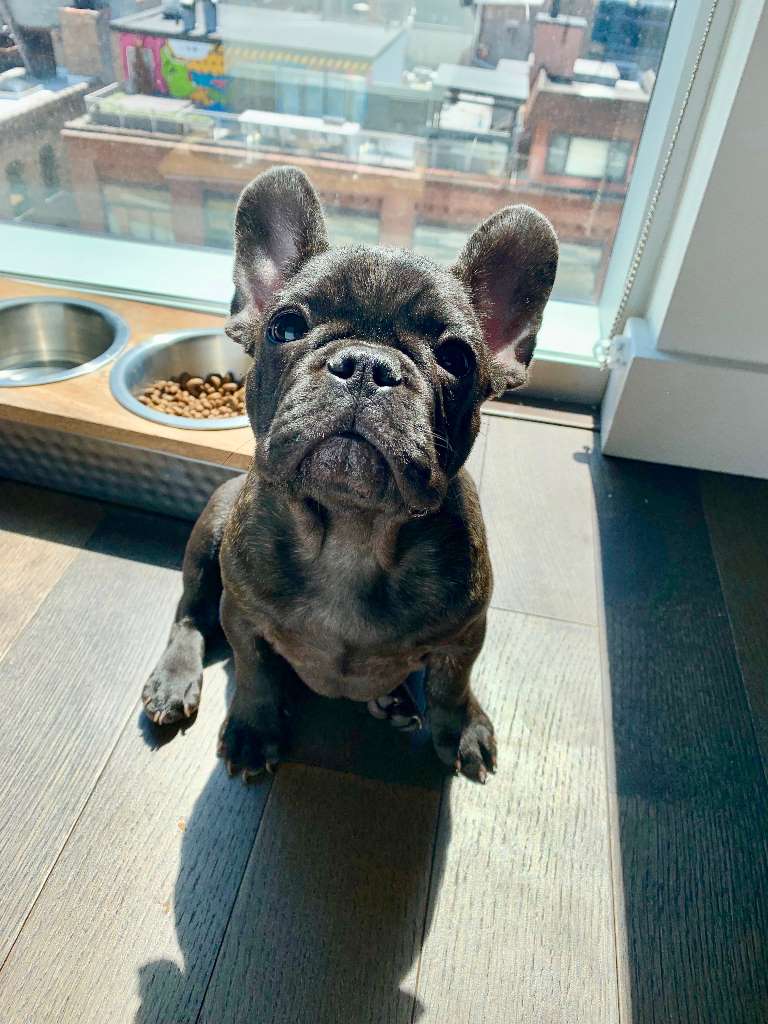 Reggie 2