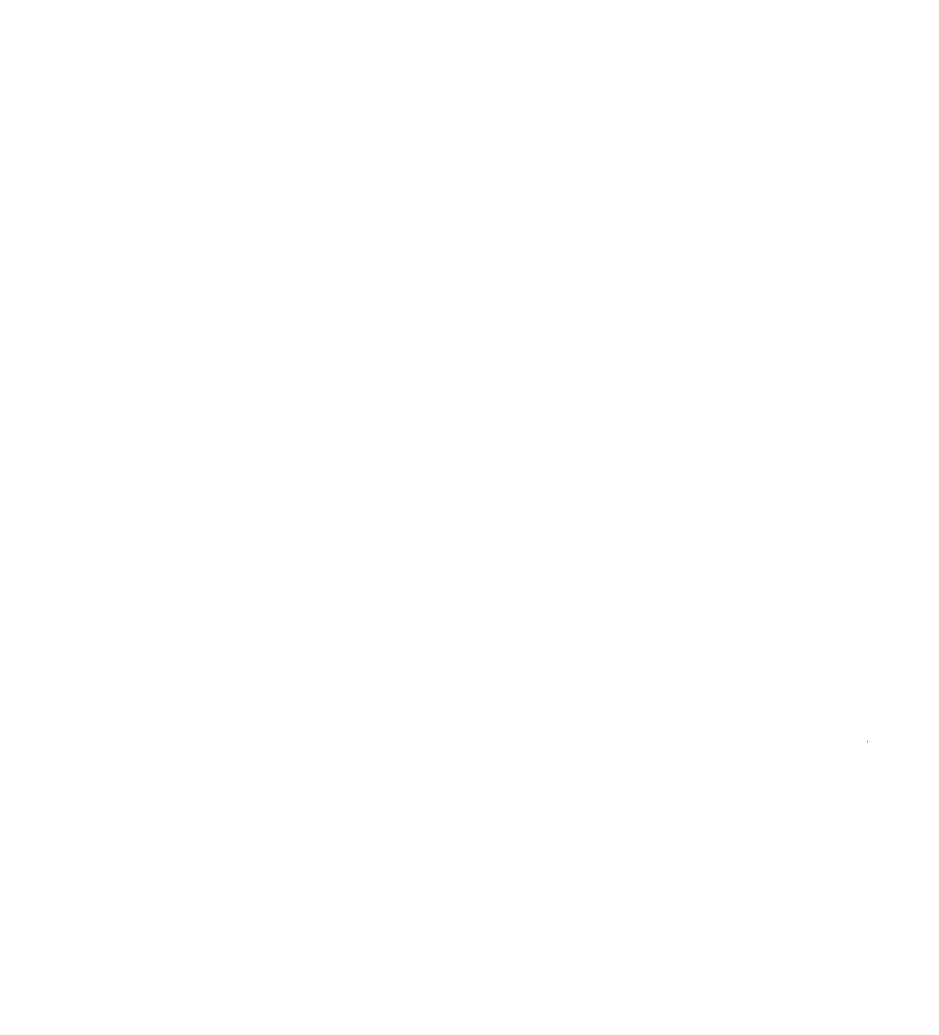 System Logo